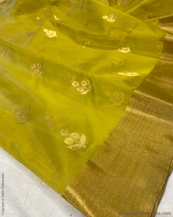 DP-TY21517 Green Gold Chanderi