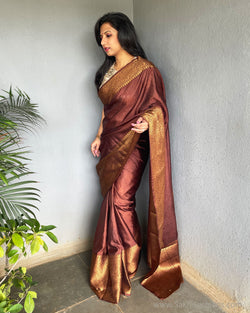 EE-S39299 Brown Sari